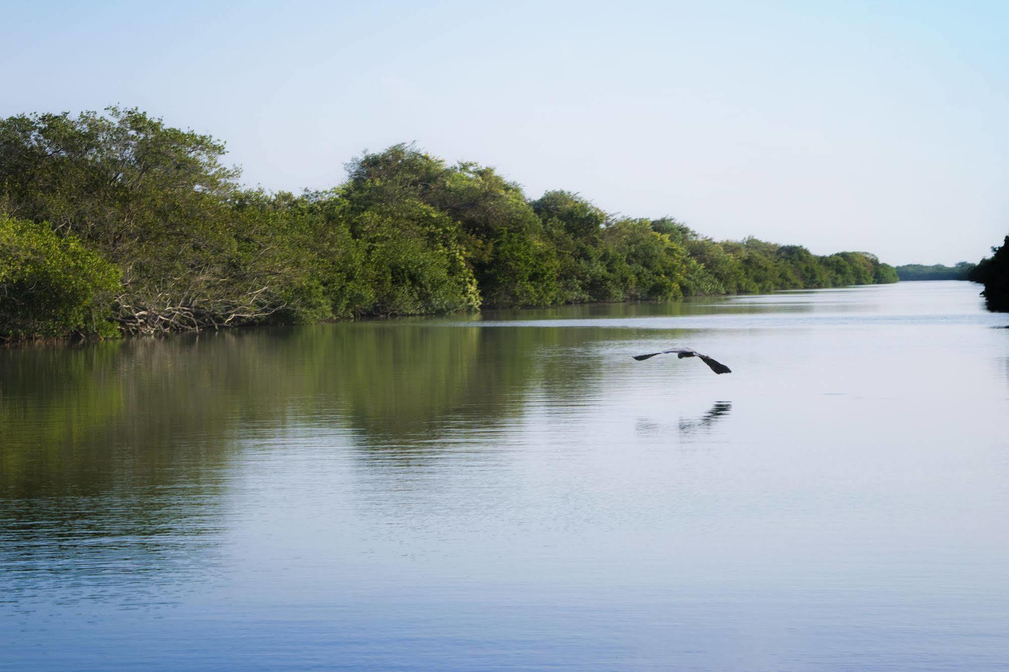Isla Tajin Hotell Tuxpan  Exteriör bild